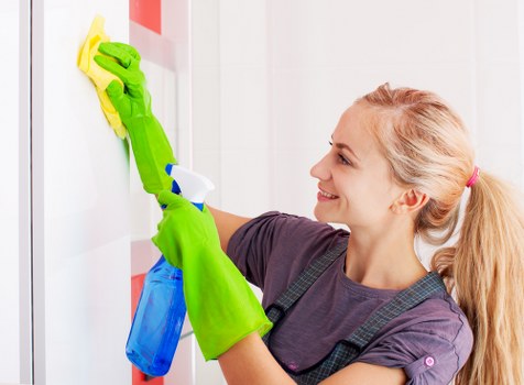Professional carpet cleaning equipment and service preparation