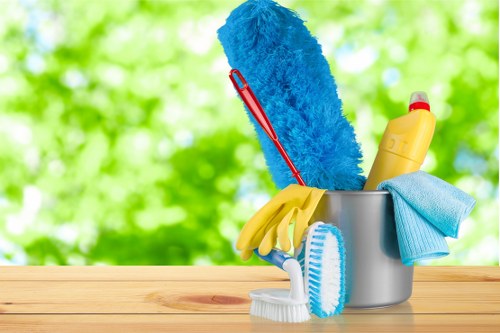 Deep carpet cleaning treatment for a home in Mortlake