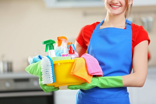 Professional sofa cleaning in Mortlake for a fresh living room