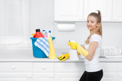 Inclusive online access for Mortlake carpet cleaners website users