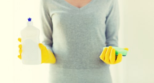 Deep cleaning process for pet odour removal in a Mortlake home