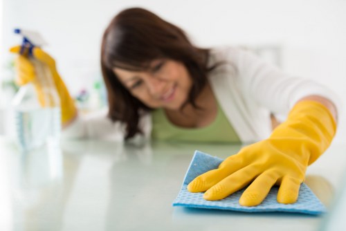 Technician treating a stubborn fabric stain in Mortlake