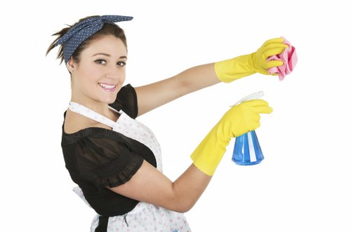 Cleaning products and protective gear used in carpet cleaning