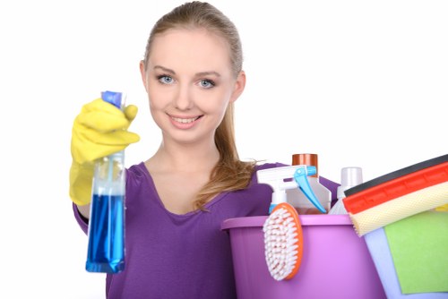 Deep carpet cleaning in a home or commercial interior