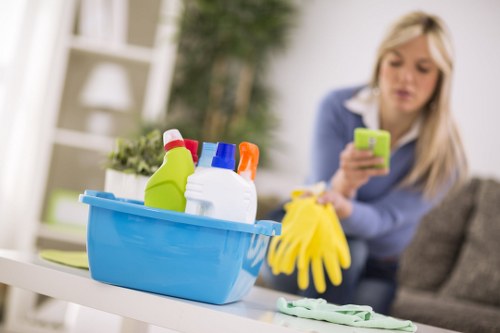 Carpet extraction used for pet stain odour removal in Mortlake